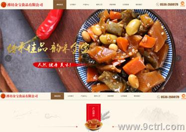 網(wǎng)站建設(shè)之濰坊食品類案例